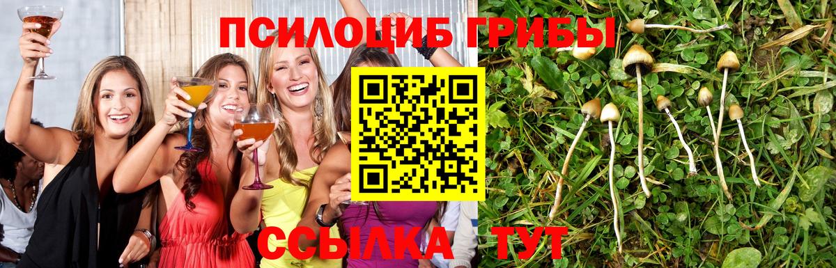 Псилоцибиновые грибы ЛСД  Вход с VPN  Гусев 