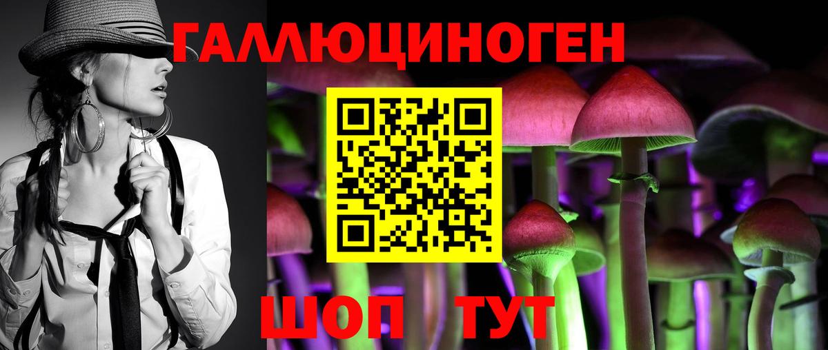 Псилоцибиновые грибы Psilocybe Гусев